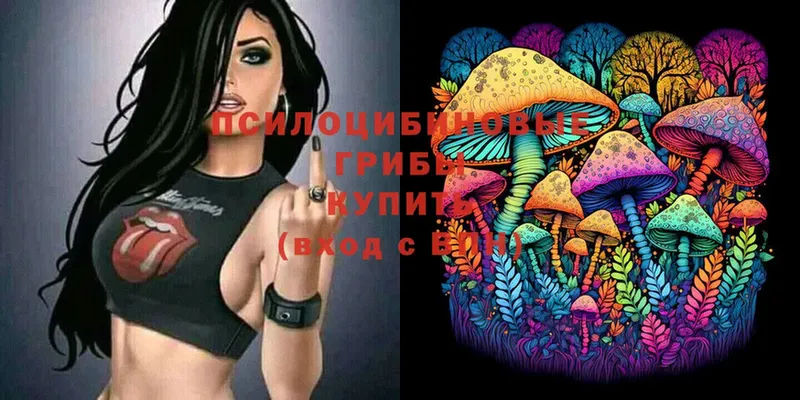 Псилоцибиновые грибы Magic Shrooms  мега ТОР  Зерноград  сколько стоит 